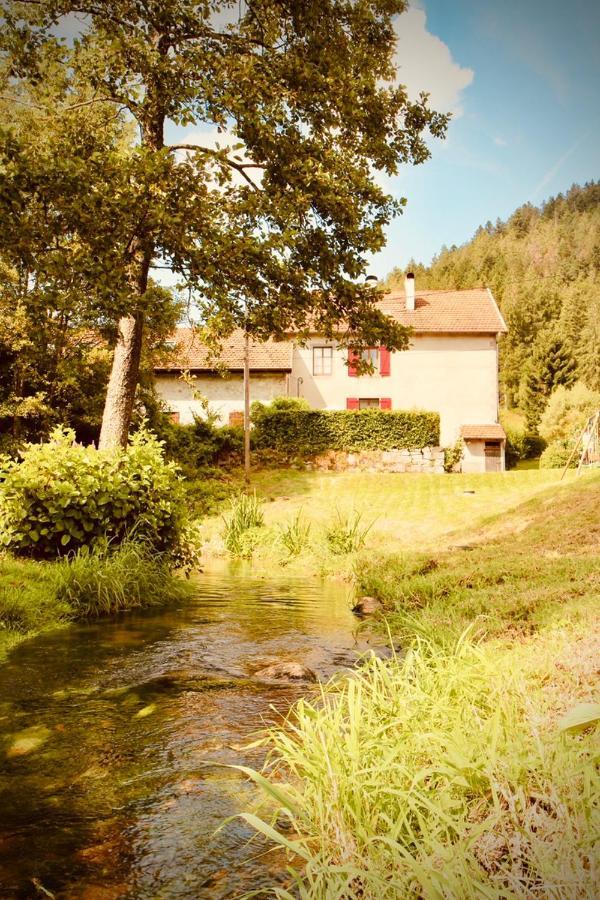 Gite De Charme Jusqu'A 14 Personnes, Proche Du Lac De Gérardmer Екстериор снимка